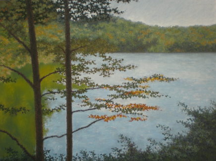 Walden Pond IV