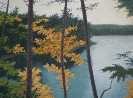 Walden Pond V