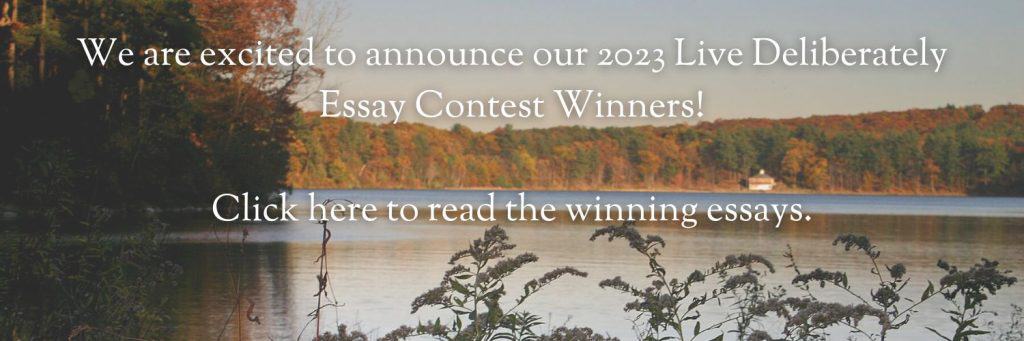 walden woods project essay contest